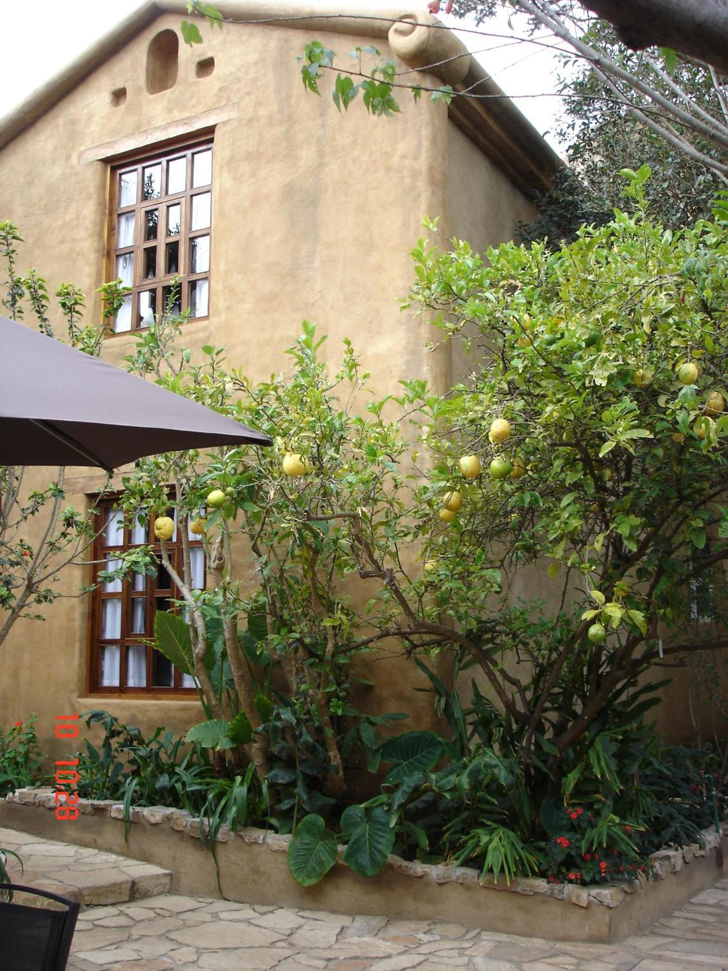 Guayaba Inn Boutique Hotel San Cristóbal de Las Casas Eksteriør billede